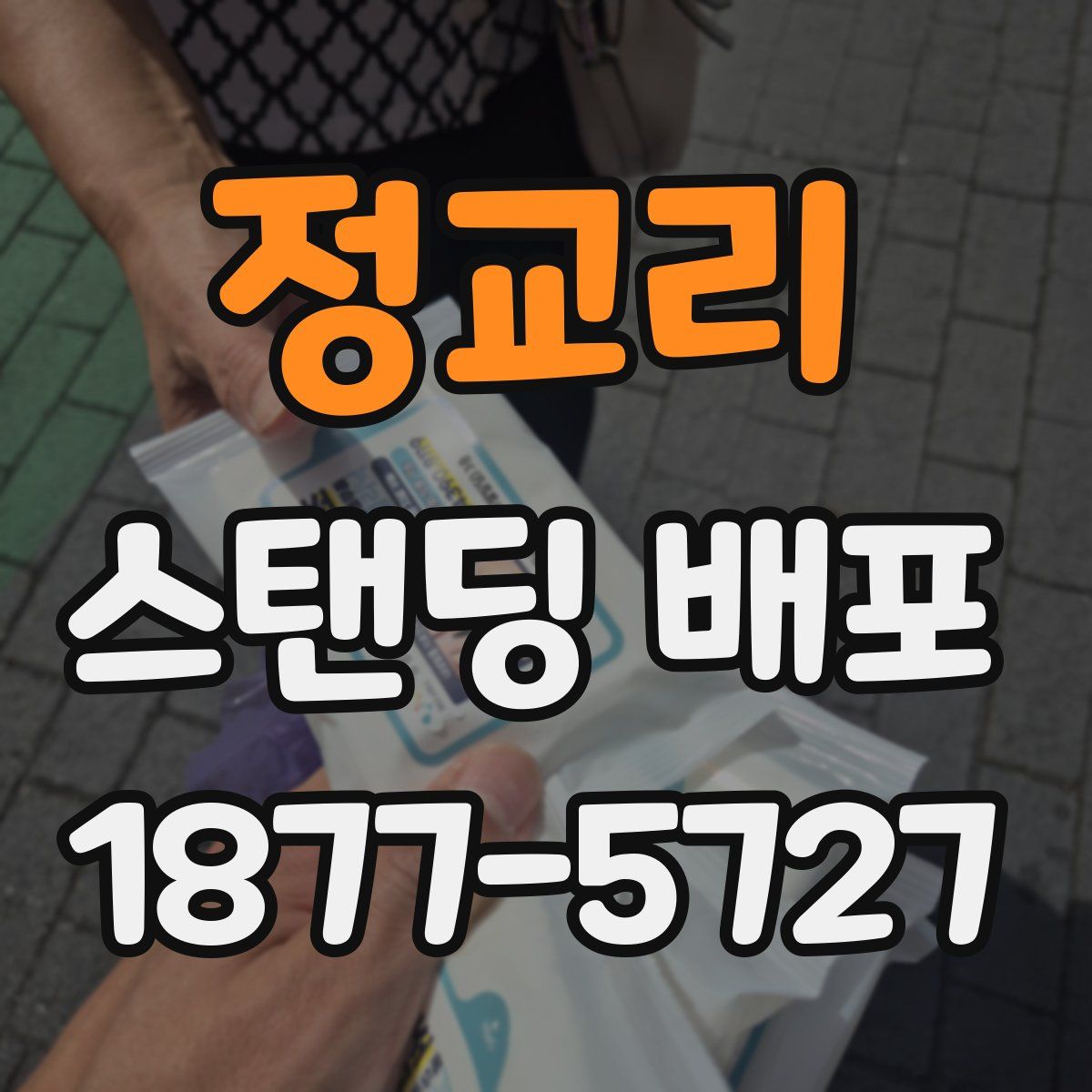 정교리 스탠딩 배포
