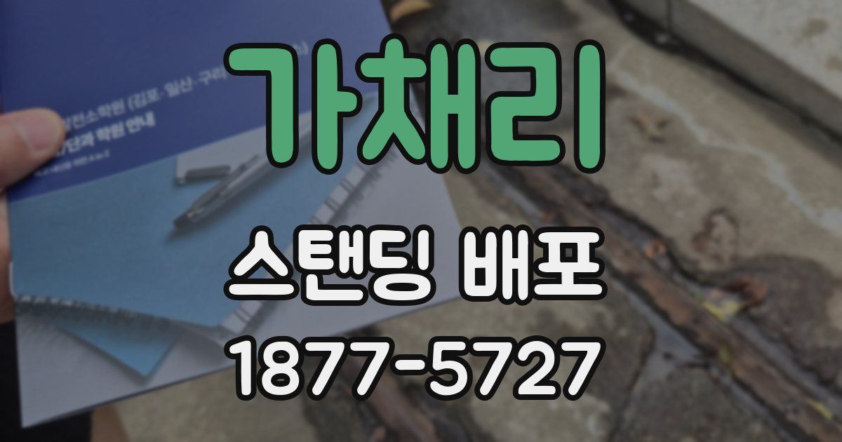 가채리 스탠딩 배포
