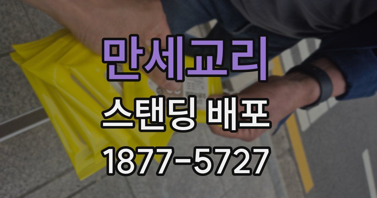 만세교리 스탠딩 배포