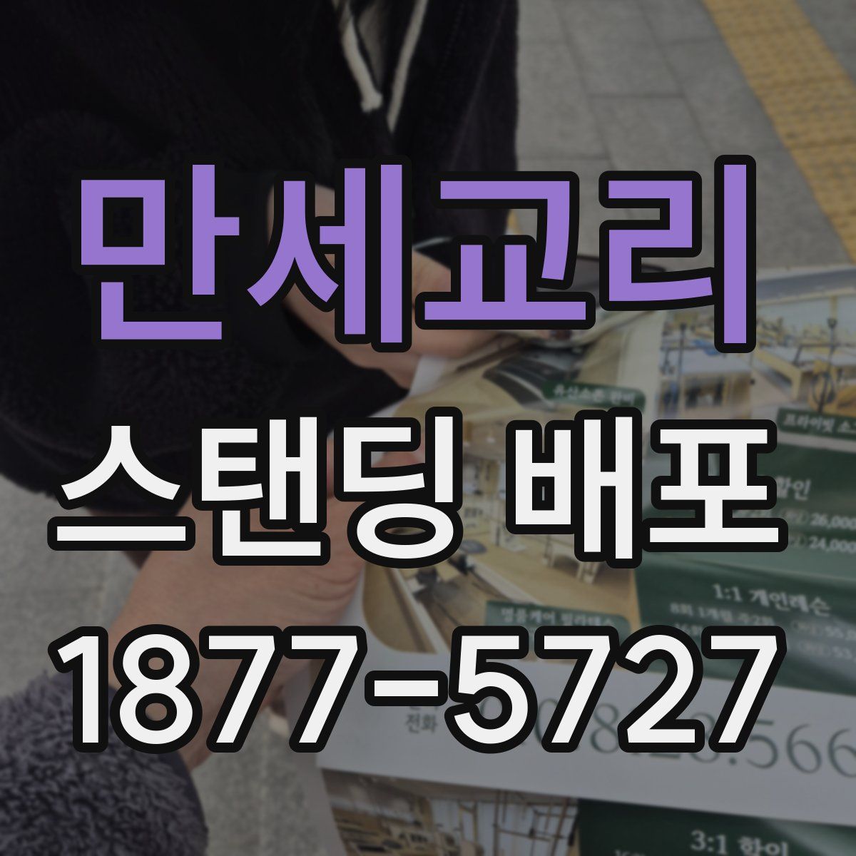 만세교리 스탠딩 배포