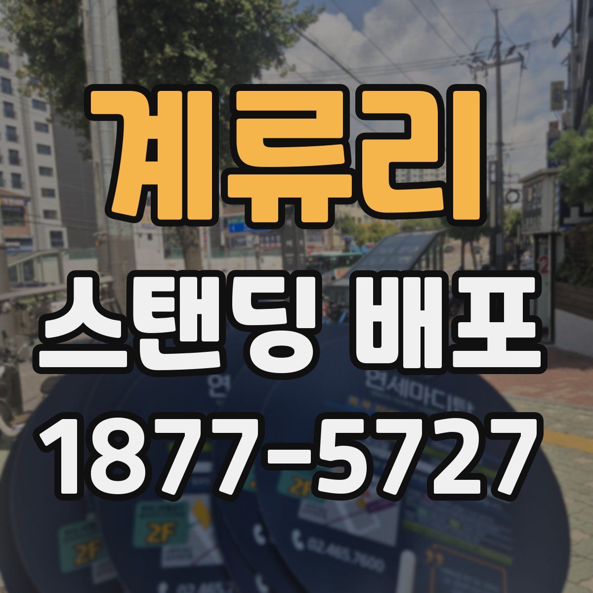 계류리 스탠딩 배포