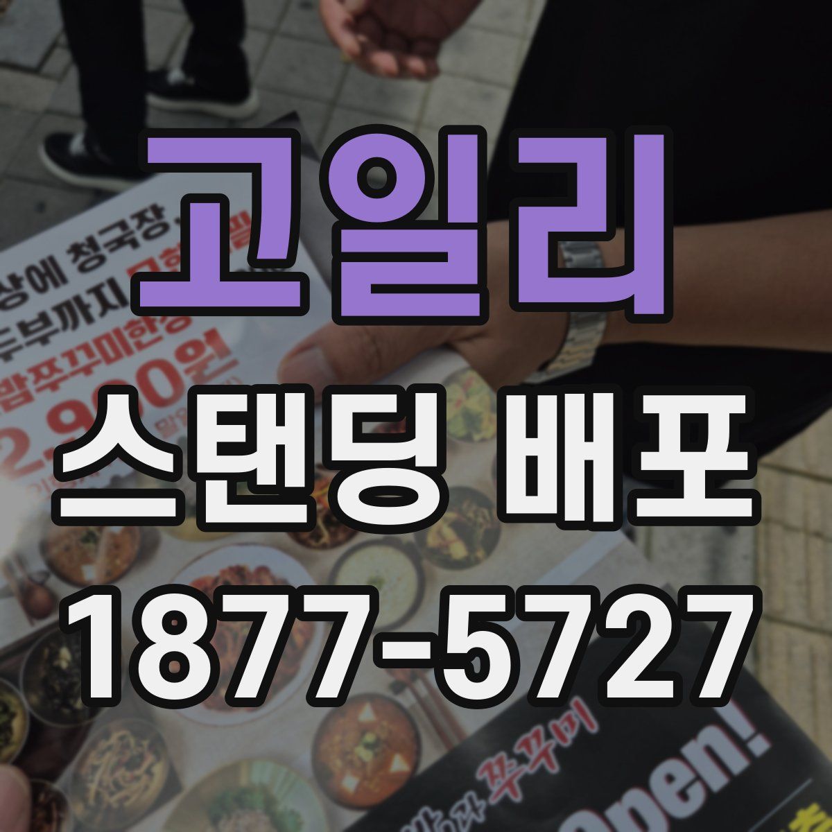 고일리 스탠딩 배포