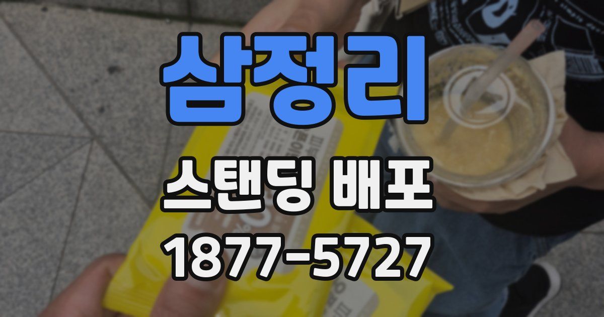 삼정리 스탠딩 배포