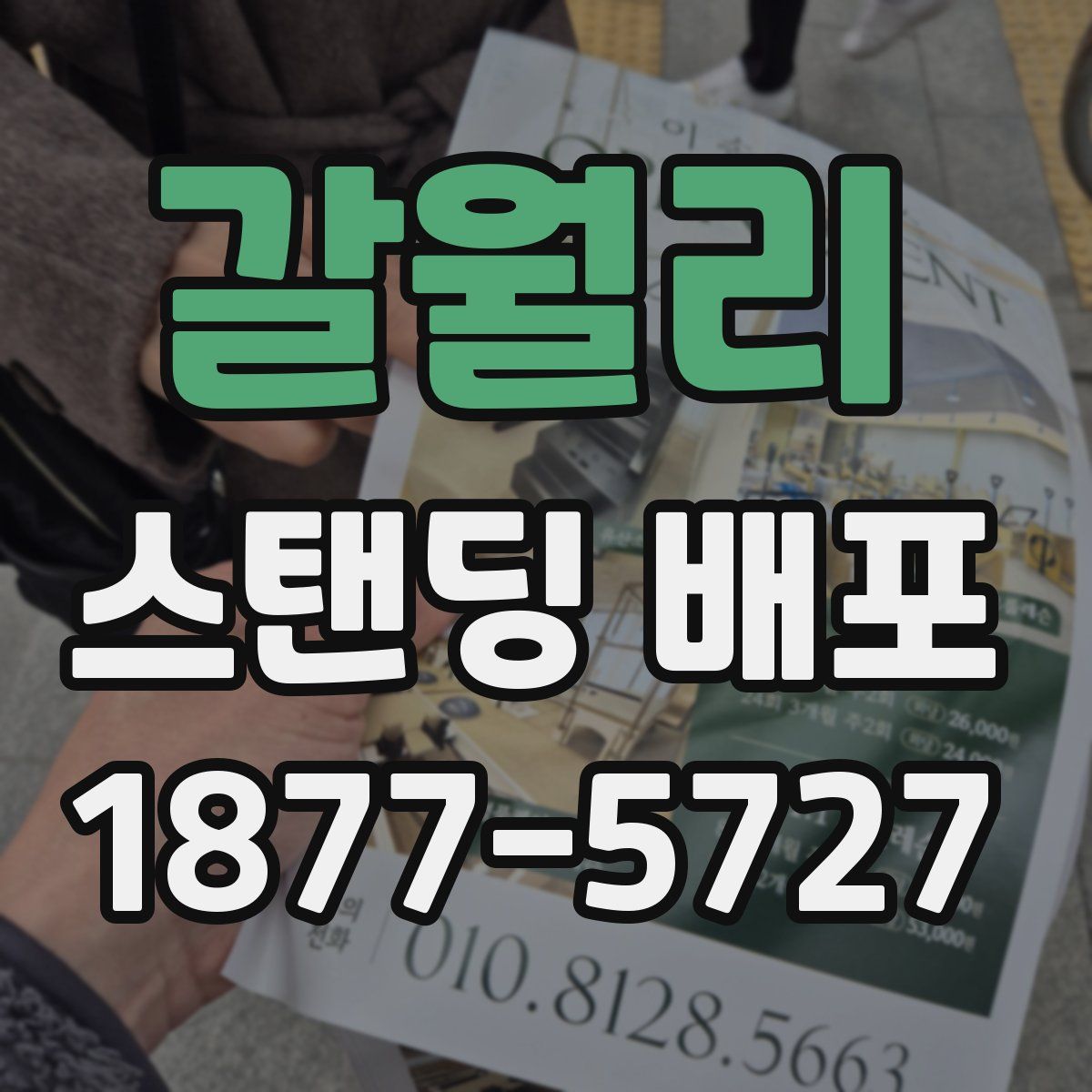갈월리 스탠딩 배포