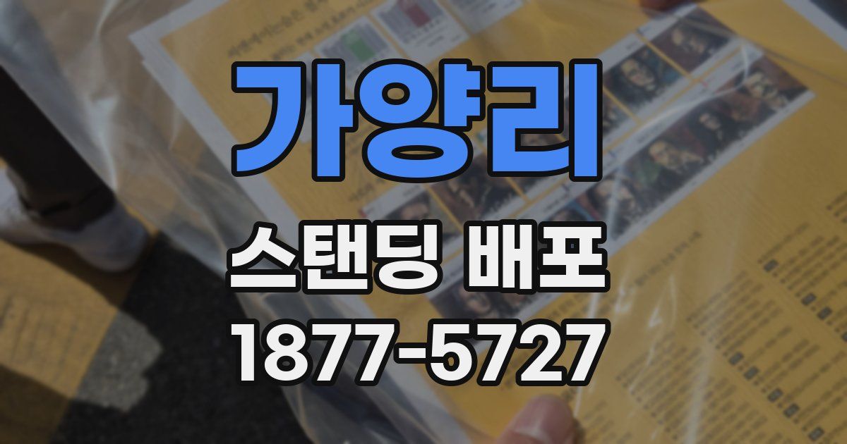 가양리 스탠딩 배포