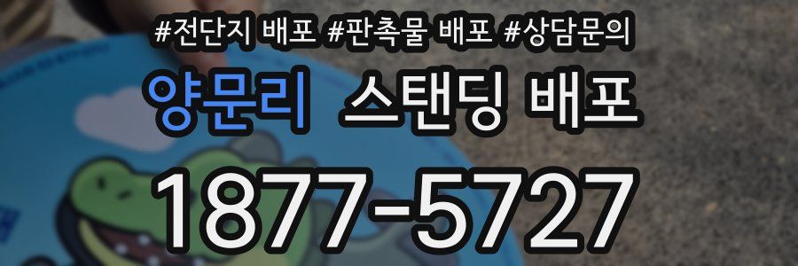 양문리 스탠딩 배포