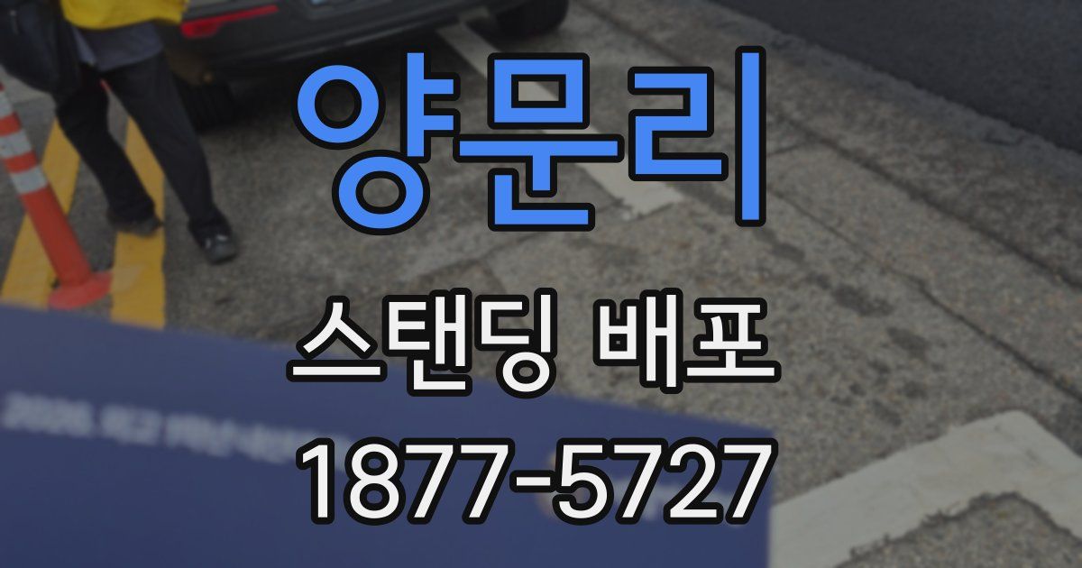 양문리 스탠딩 배포