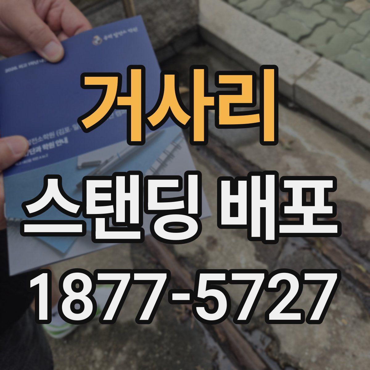 거사리 스탠딩 배포