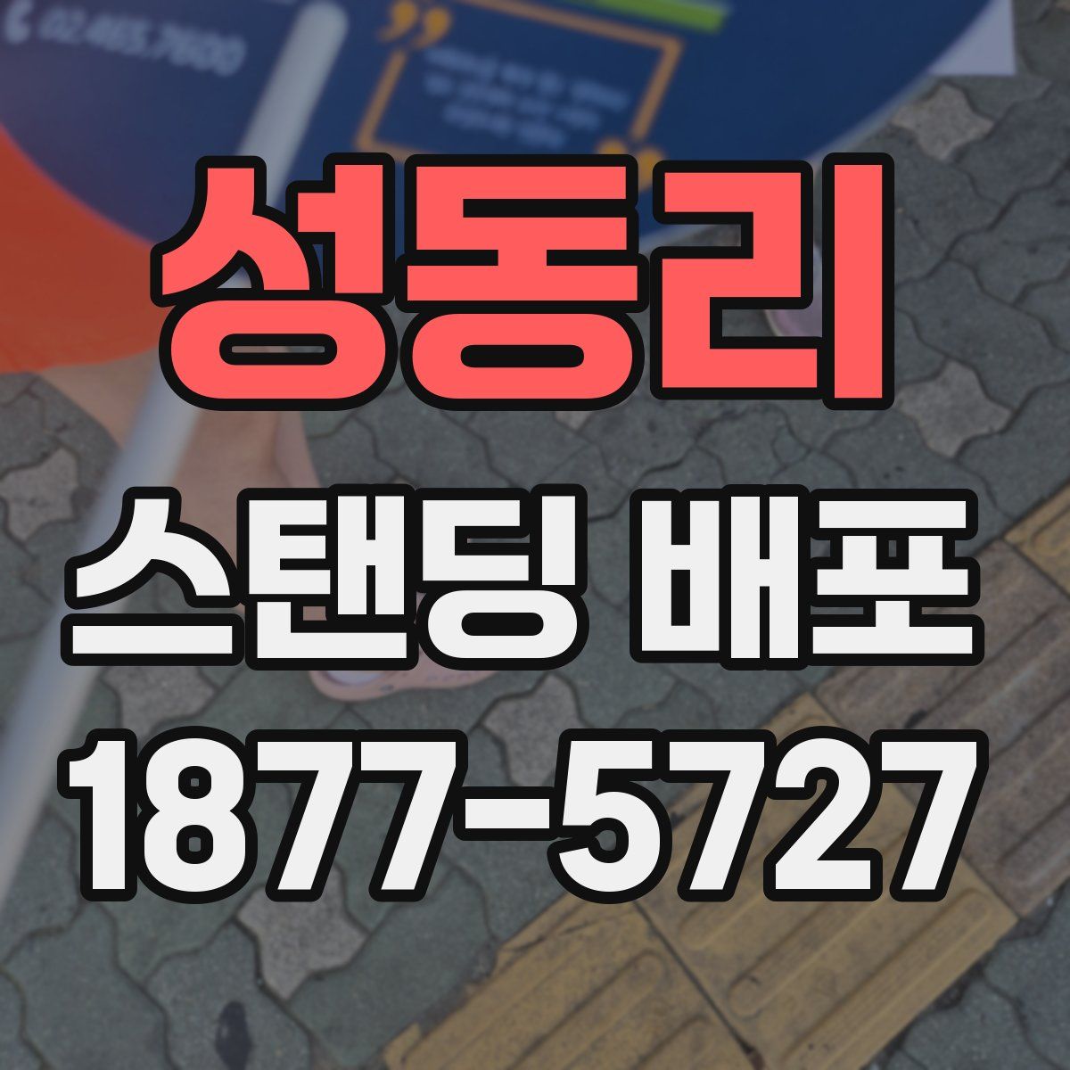 성동리 스탠딩 배포