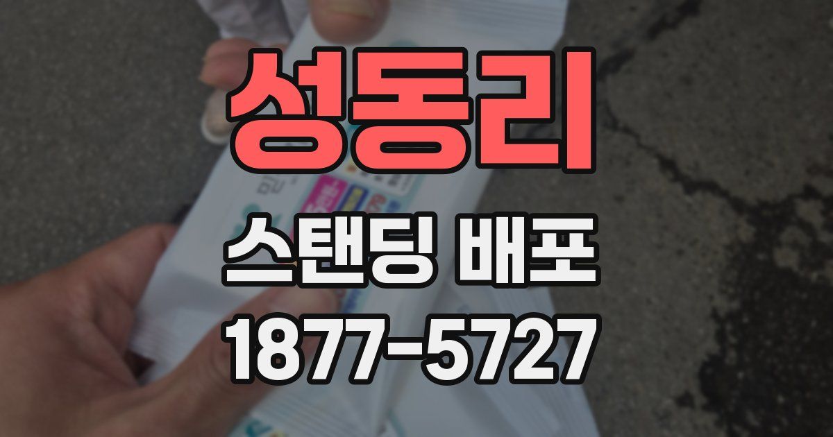 성동리 스탠딩 배포