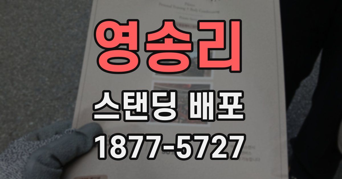 영송리 스탠딩 배포