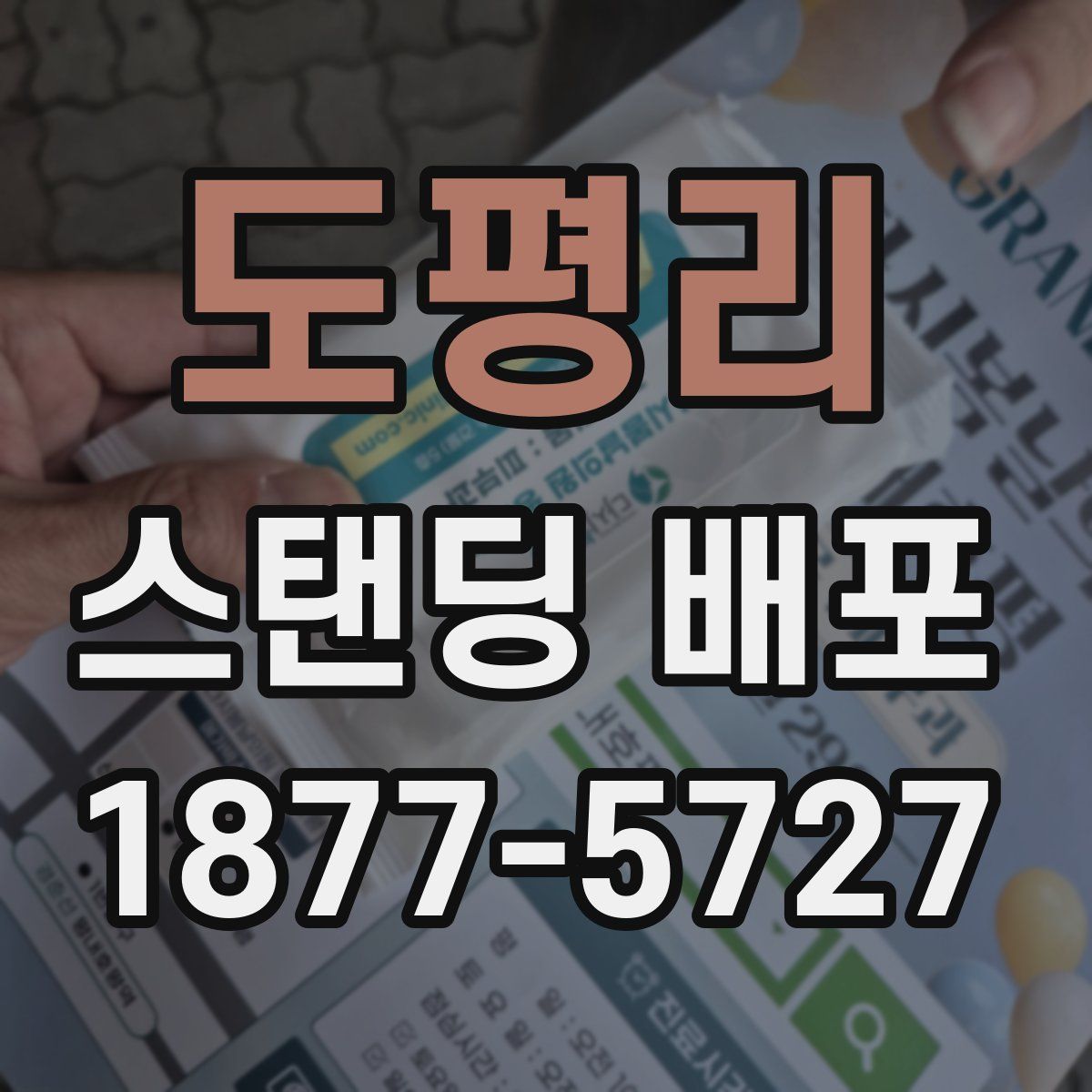도평리 스탠딩 배포