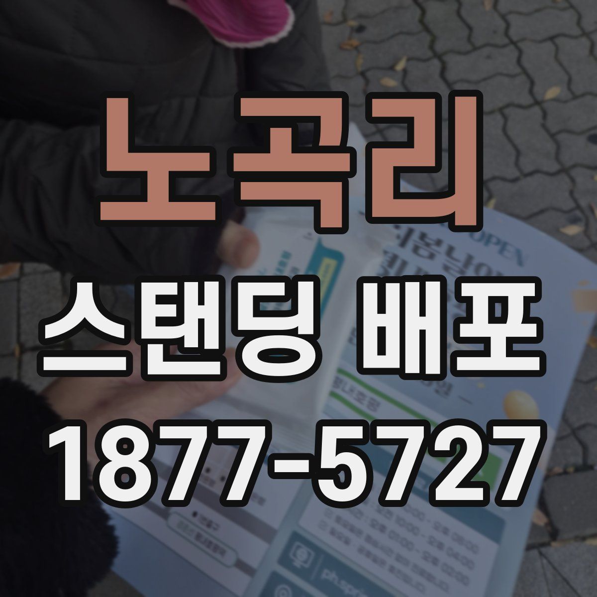 노곡리 스탠딩 배포