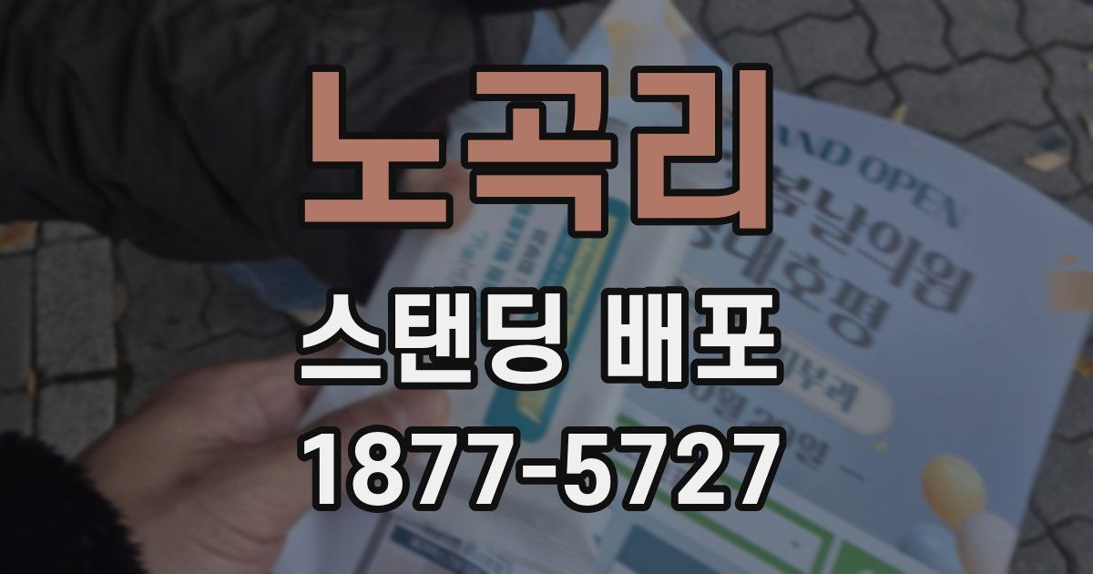 노곡리 스탠딩 배포