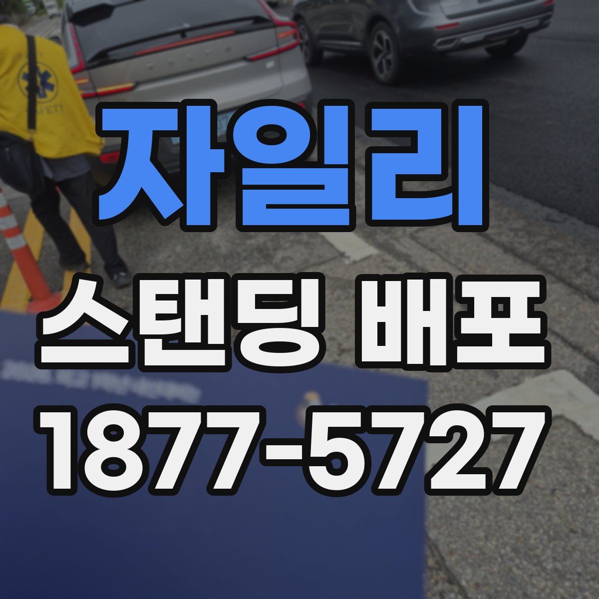 자일리 스탠딩 배포
