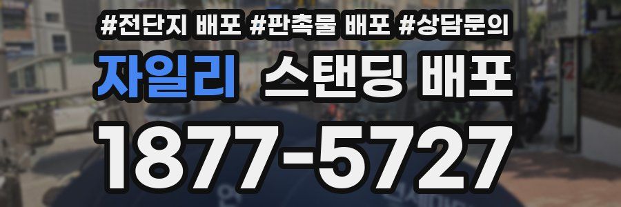 자일리 스탠딩 배포