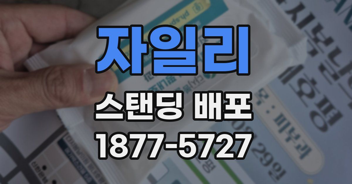 자일리 스탠딩 배포