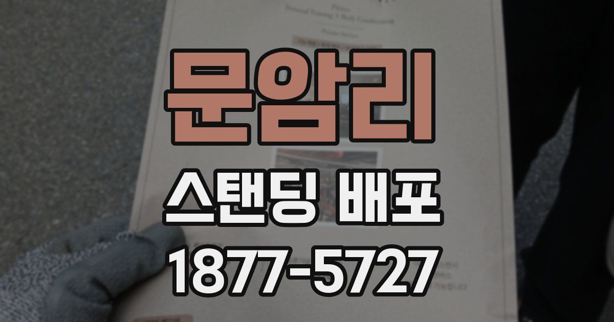 문암리 스탠딩 배포