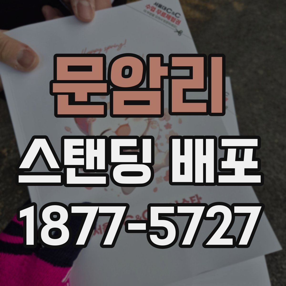 문암리 스탠딩 배포