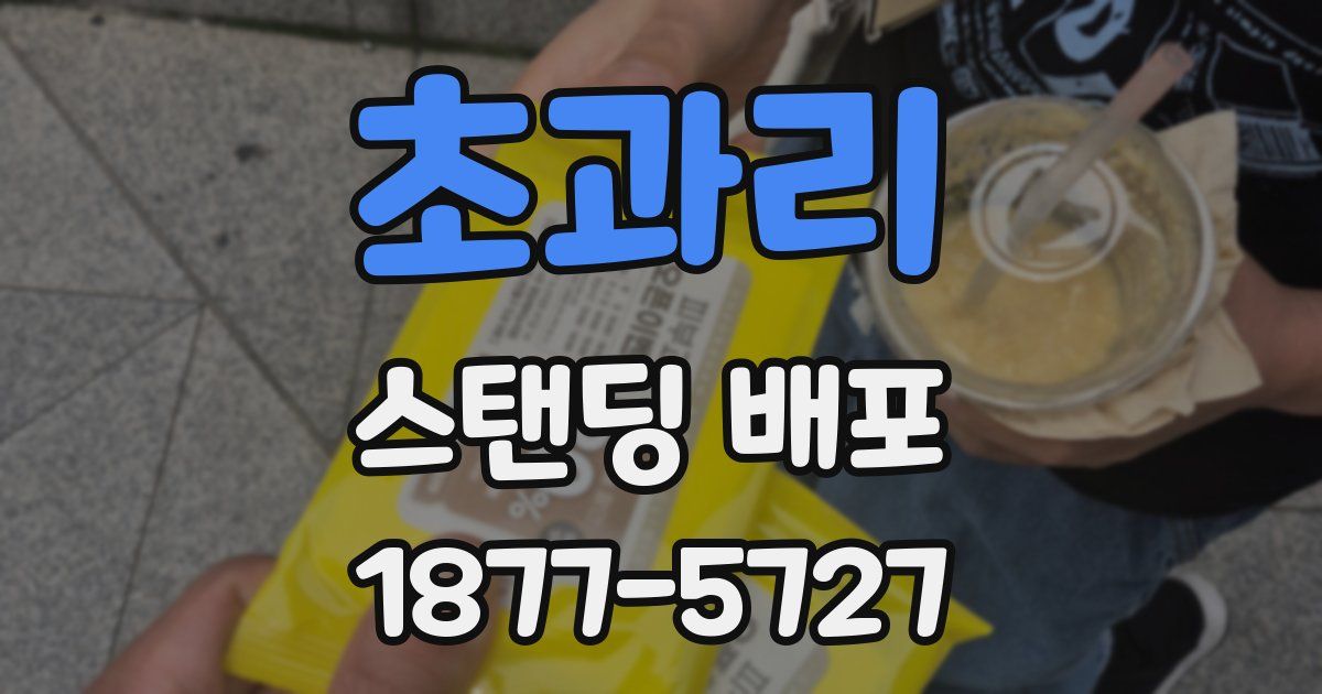 초과리 스탠딩 배포