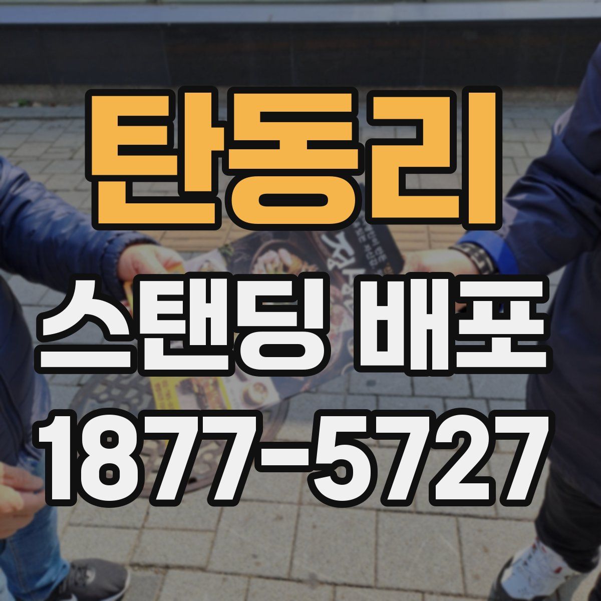 탄동리 스탠딩 배포