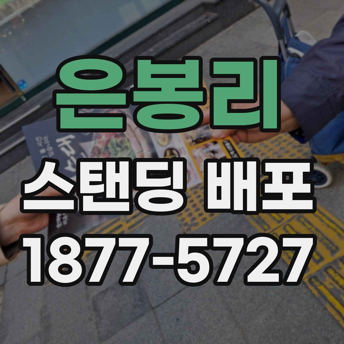 은봉리 스탠딩 배포