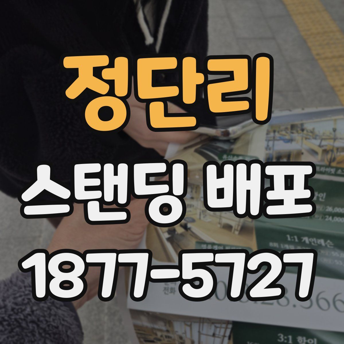 정단리 스탠딩 배포