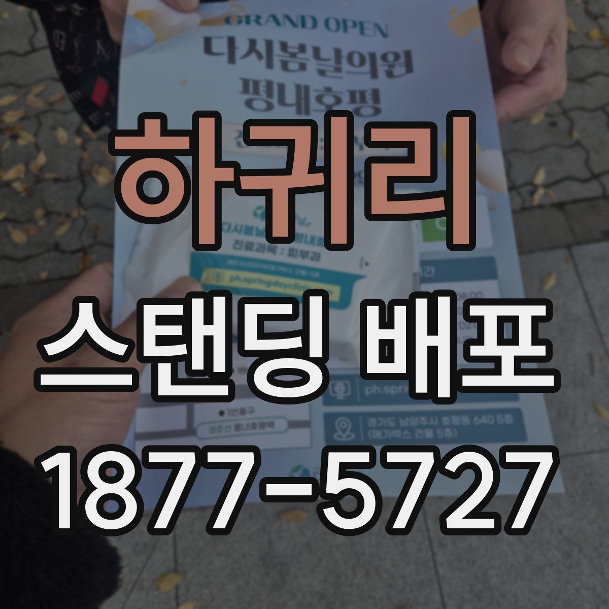 하귀리 스탠딩 배포