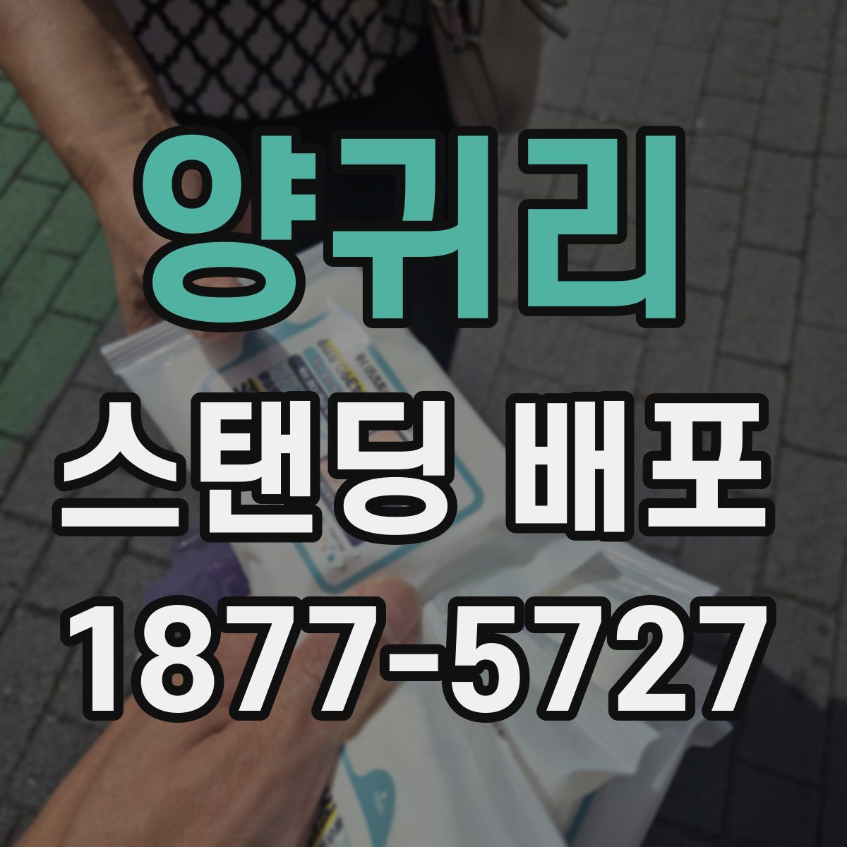양귀리 스탠딩 배포