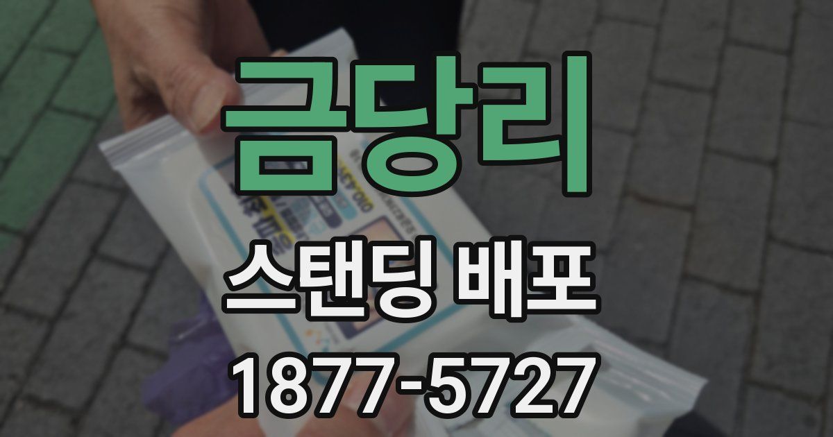 금당리 스탠딩 배포