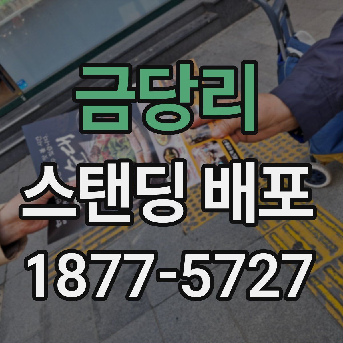 금당리 스탠딩 배포