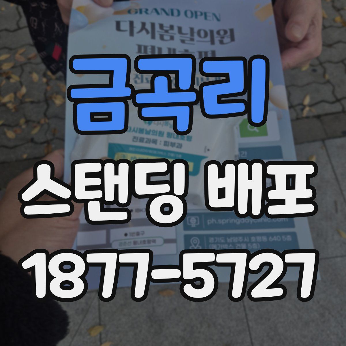 금곡리 스탠딩 배포
