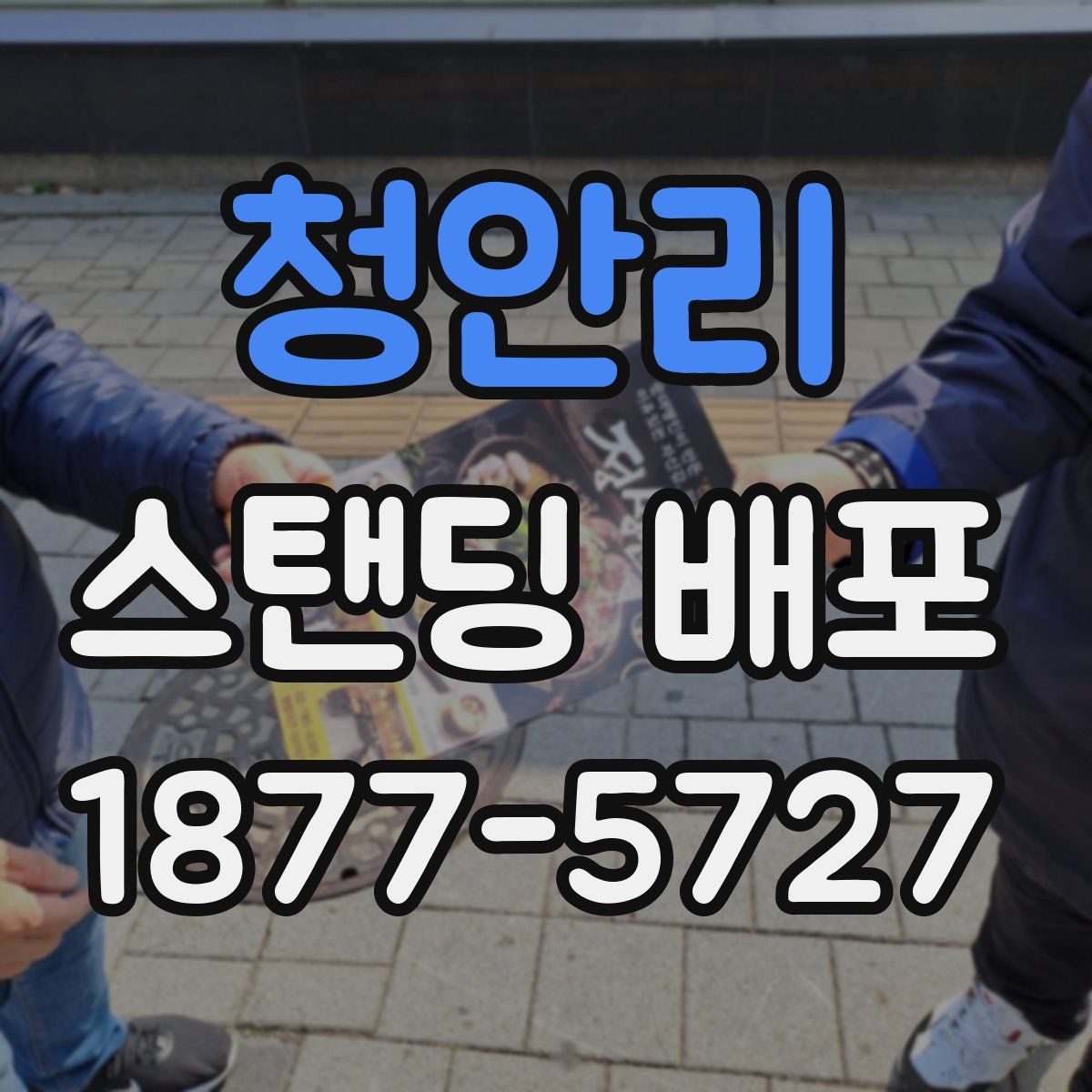 청안리 스탠딩 배포