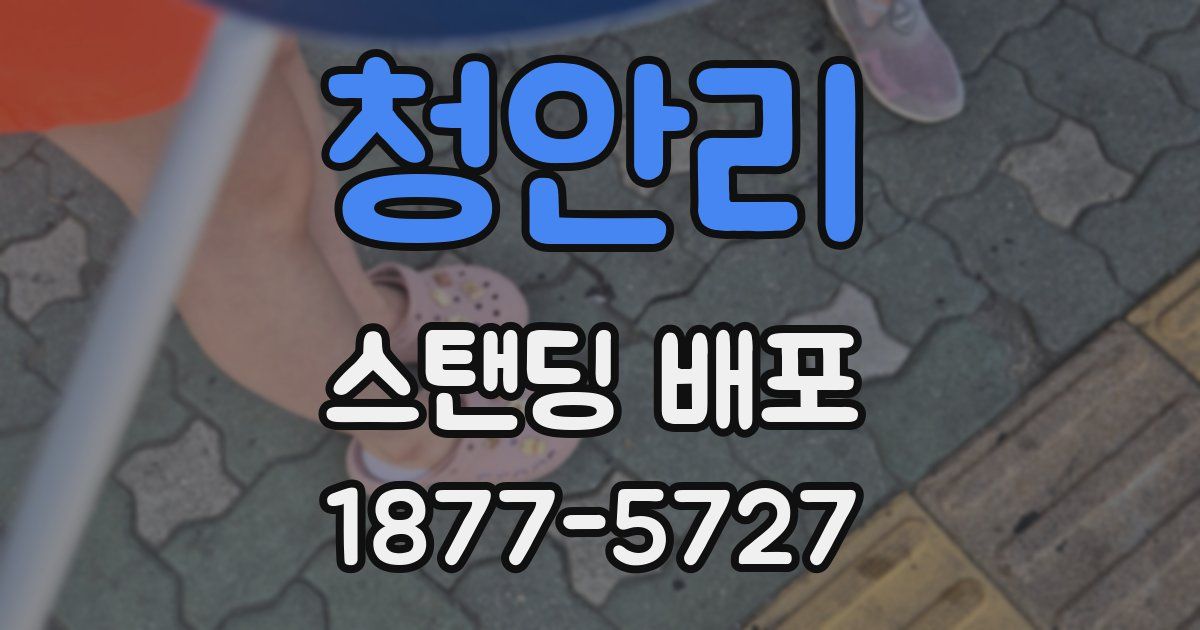 청안리 스탠딩 배포