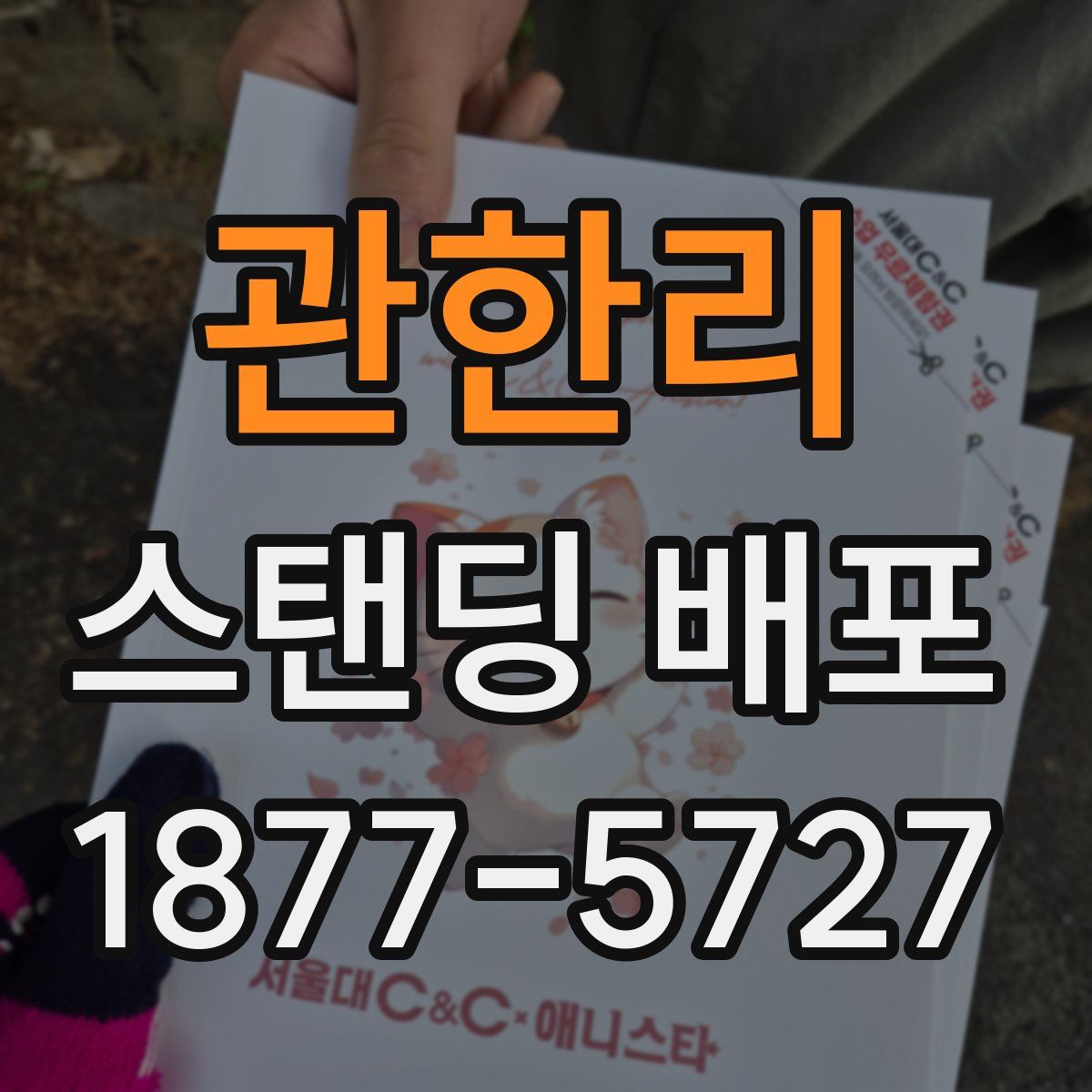 관한리 스탠딩 배포