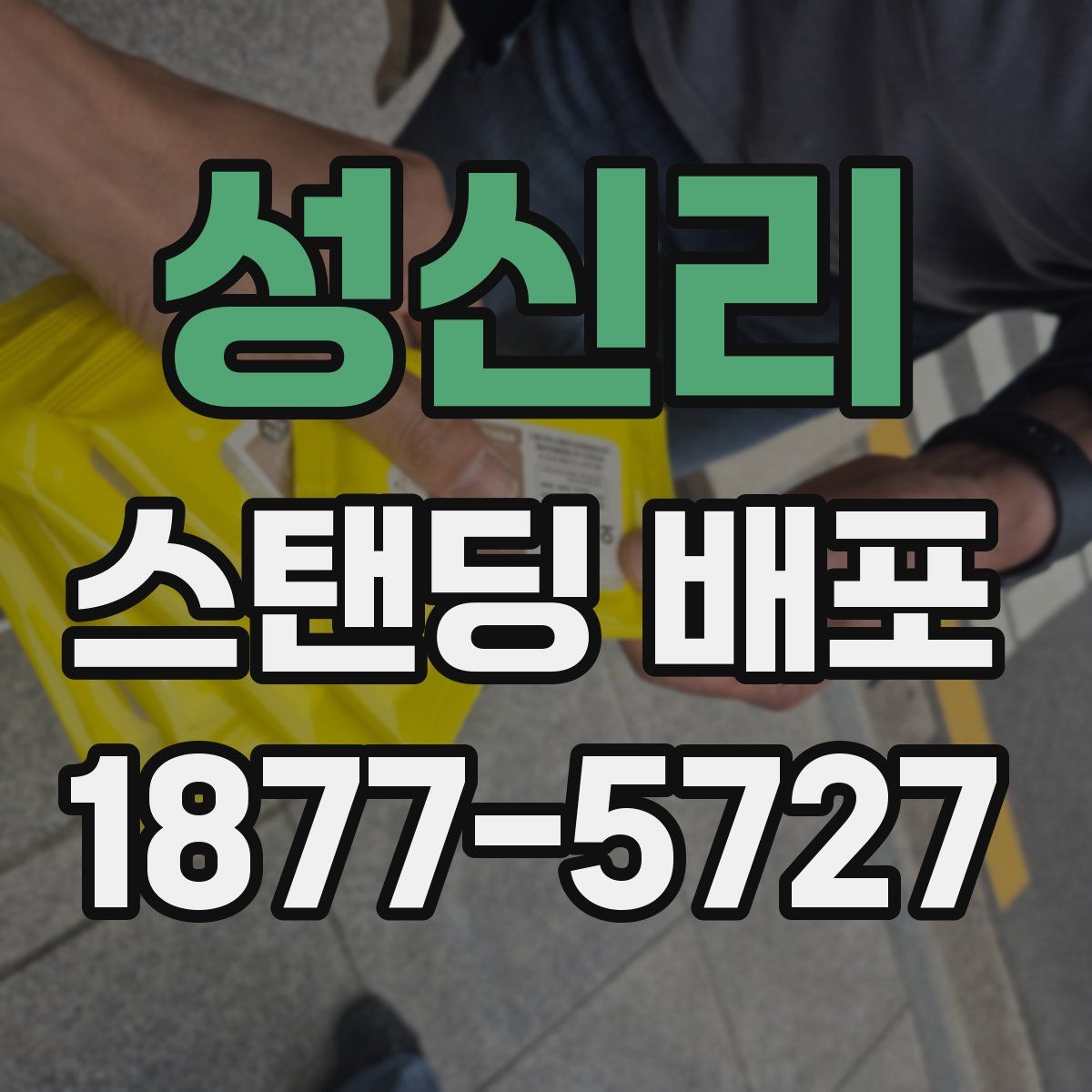 성신리 스탠딩 배포