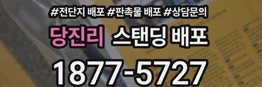당진리 스탠딩 배포