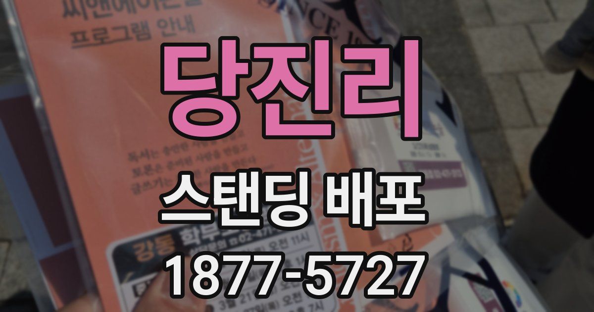 당진리 스탠딩 배포