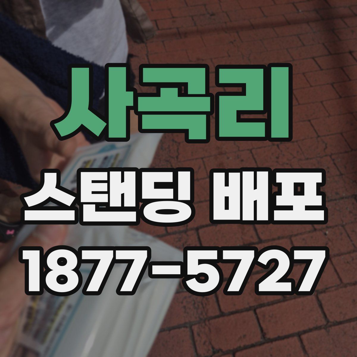 사곡리 스탠딩 배포