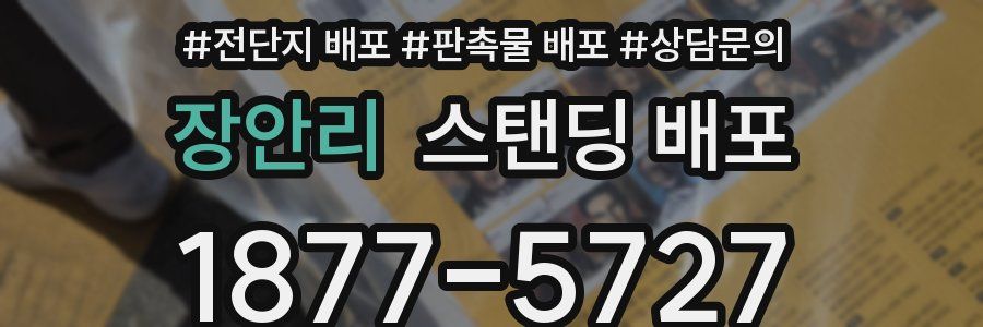 장안리 스탠딩 배포