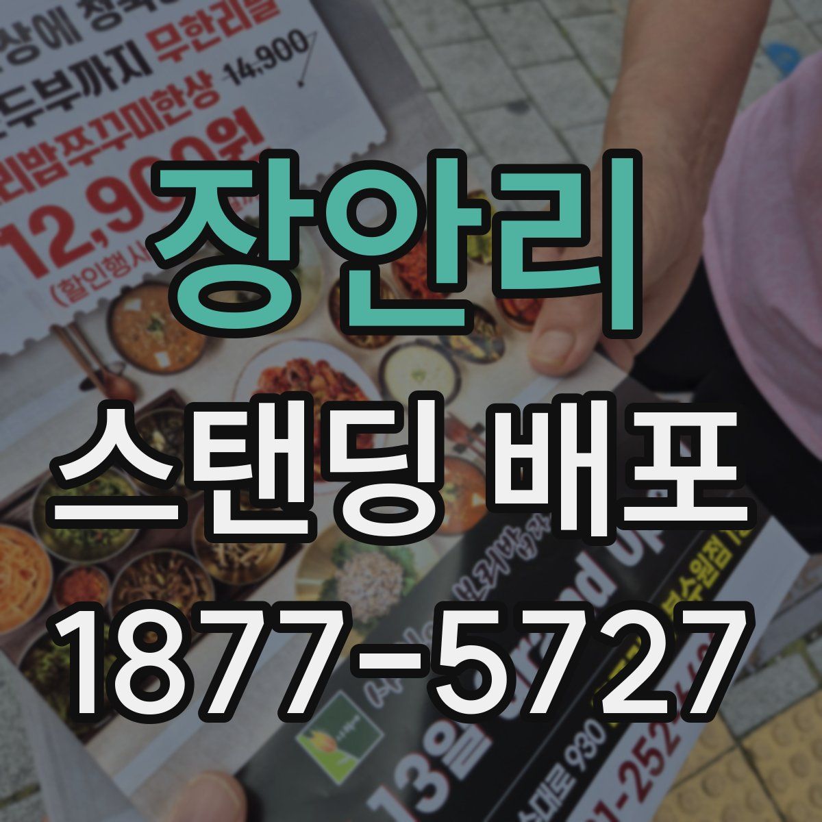 장안리 스탠딩 배포