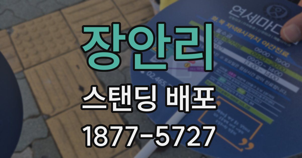 장안리 스탠딩 배포