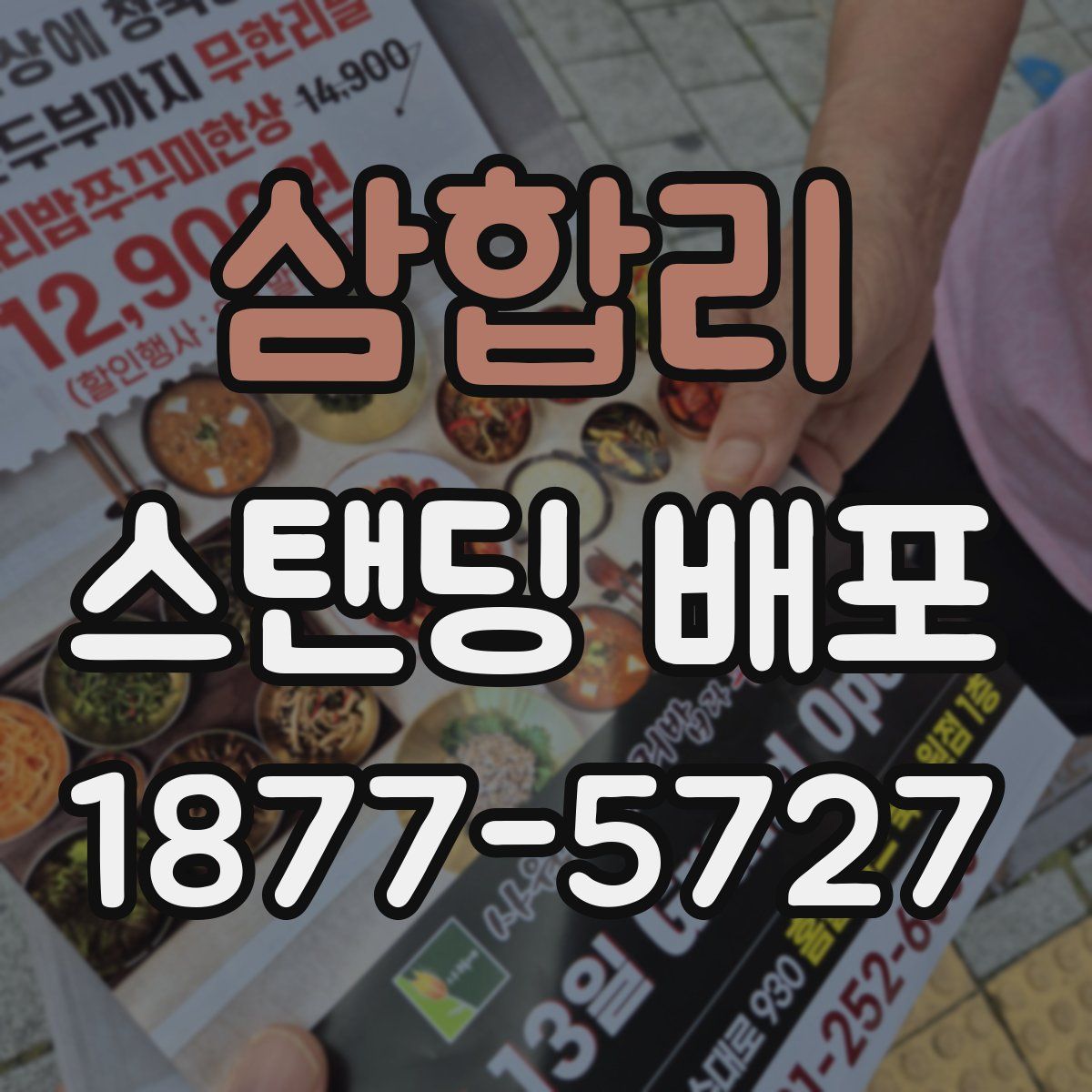 삼합리 스탠딩 배포
