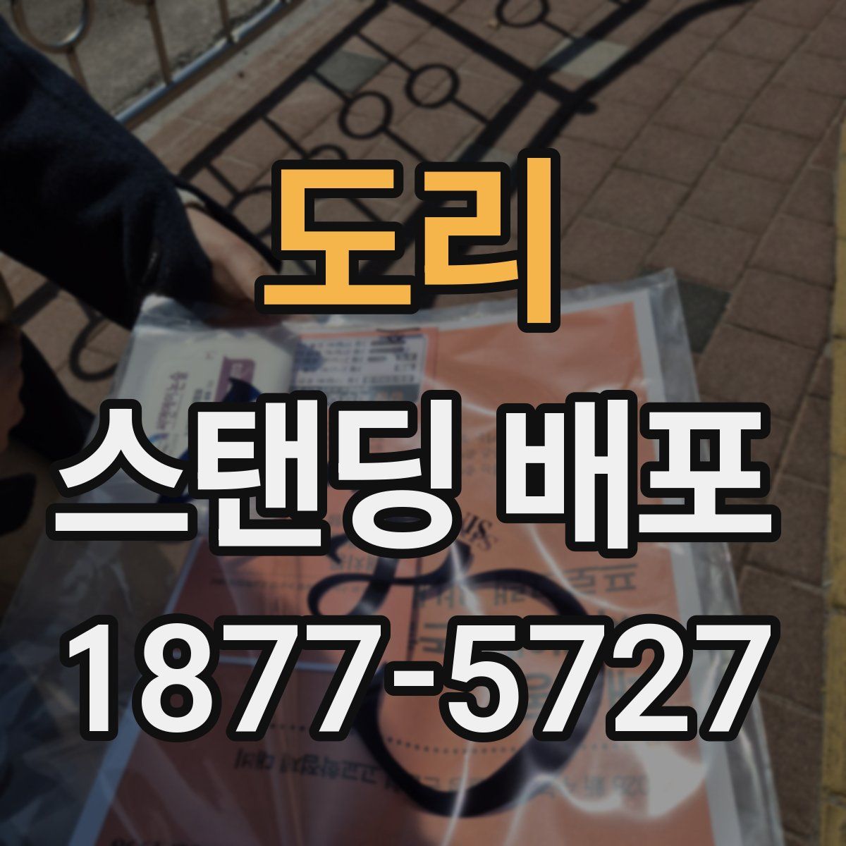 도리 스탠딩 배포