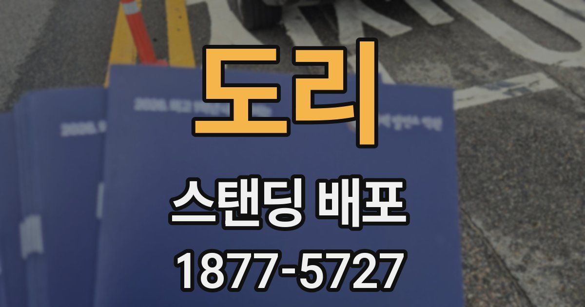 도리 스탠딩 배포