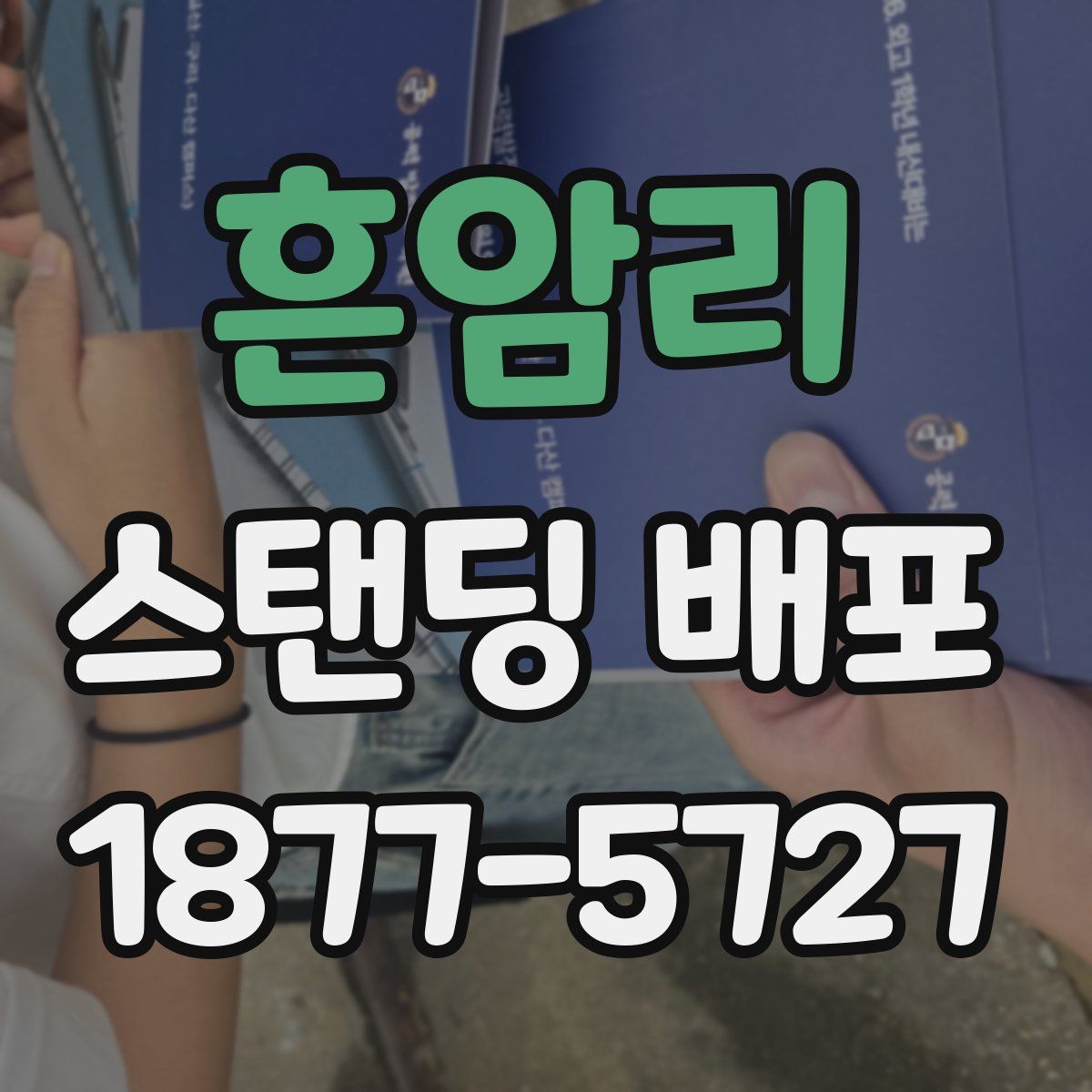 흔암리 스탠딩 배포