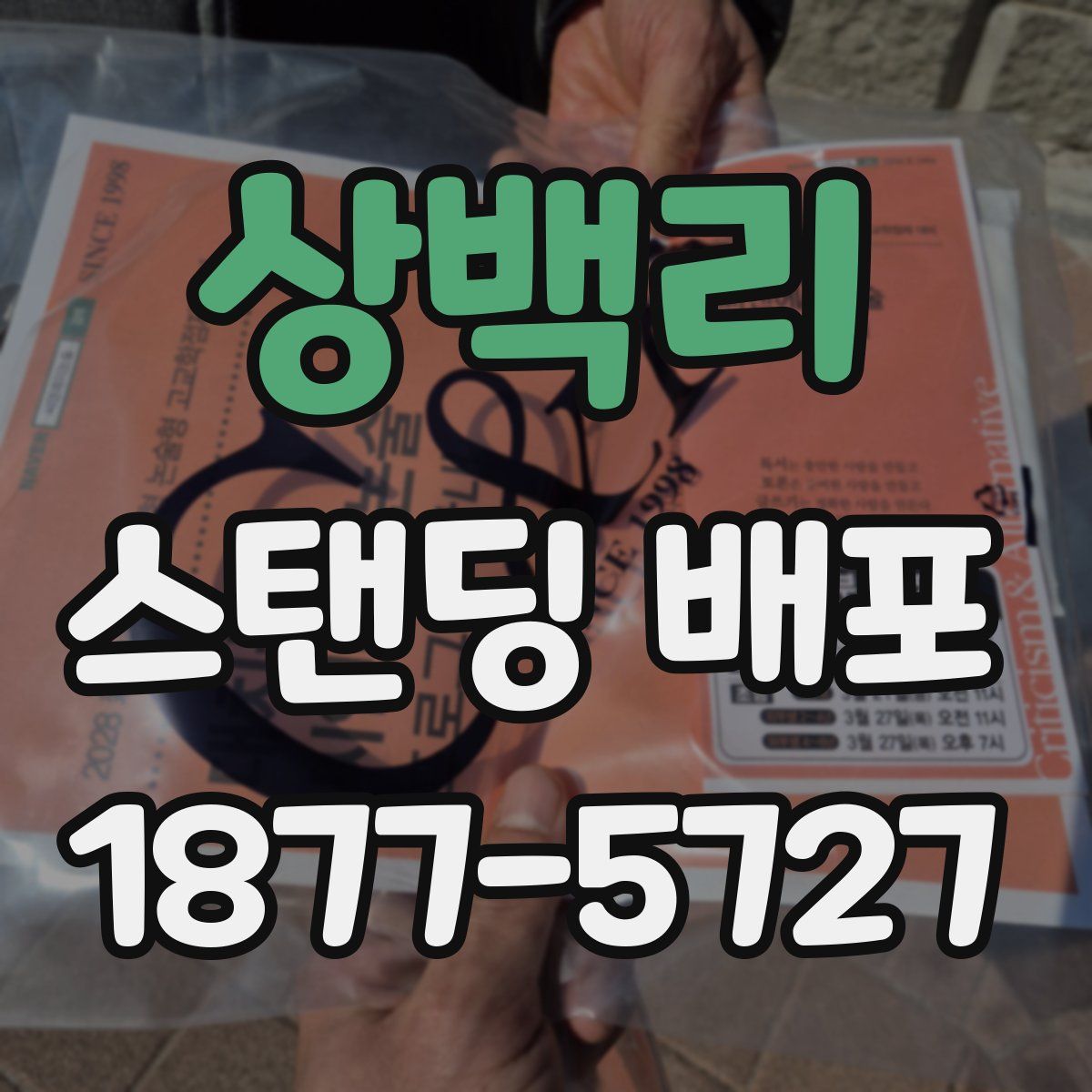 상백리 스탠딩 배포