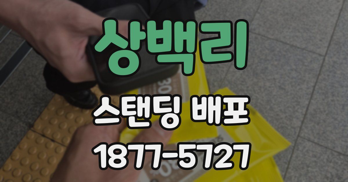 상백리 스탠딩 배포