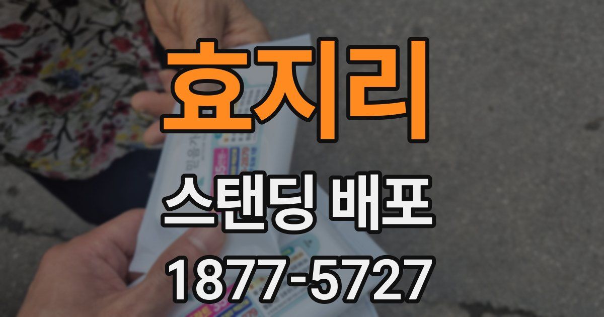 효지리 스탠딩 배포