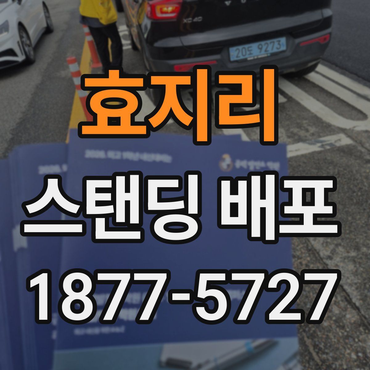 효지리 스탠딩 배포